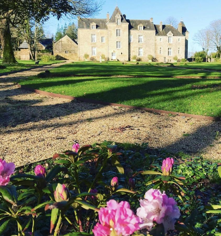 Chateau De Cadouzan Saint-Dolay Luaran gambar